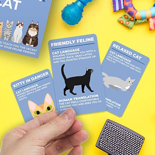 The Fashion Gift Shop: How To Speak Cat Card Deck | Fun Gift for Cat Lovers by Gift Republic, Gifts for Cat Lovers
