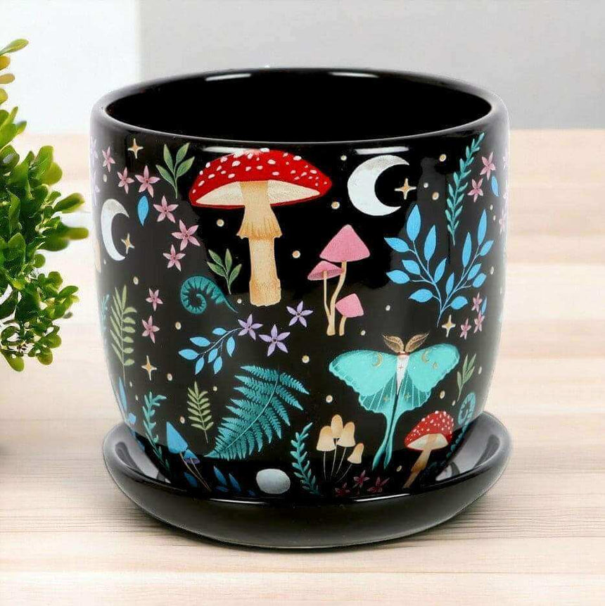 The Fashion Gift Shop: Dark Forest Print Ceramic Plant Pot with Saucer 11cm by Spirit of equinox, Pots and Planters