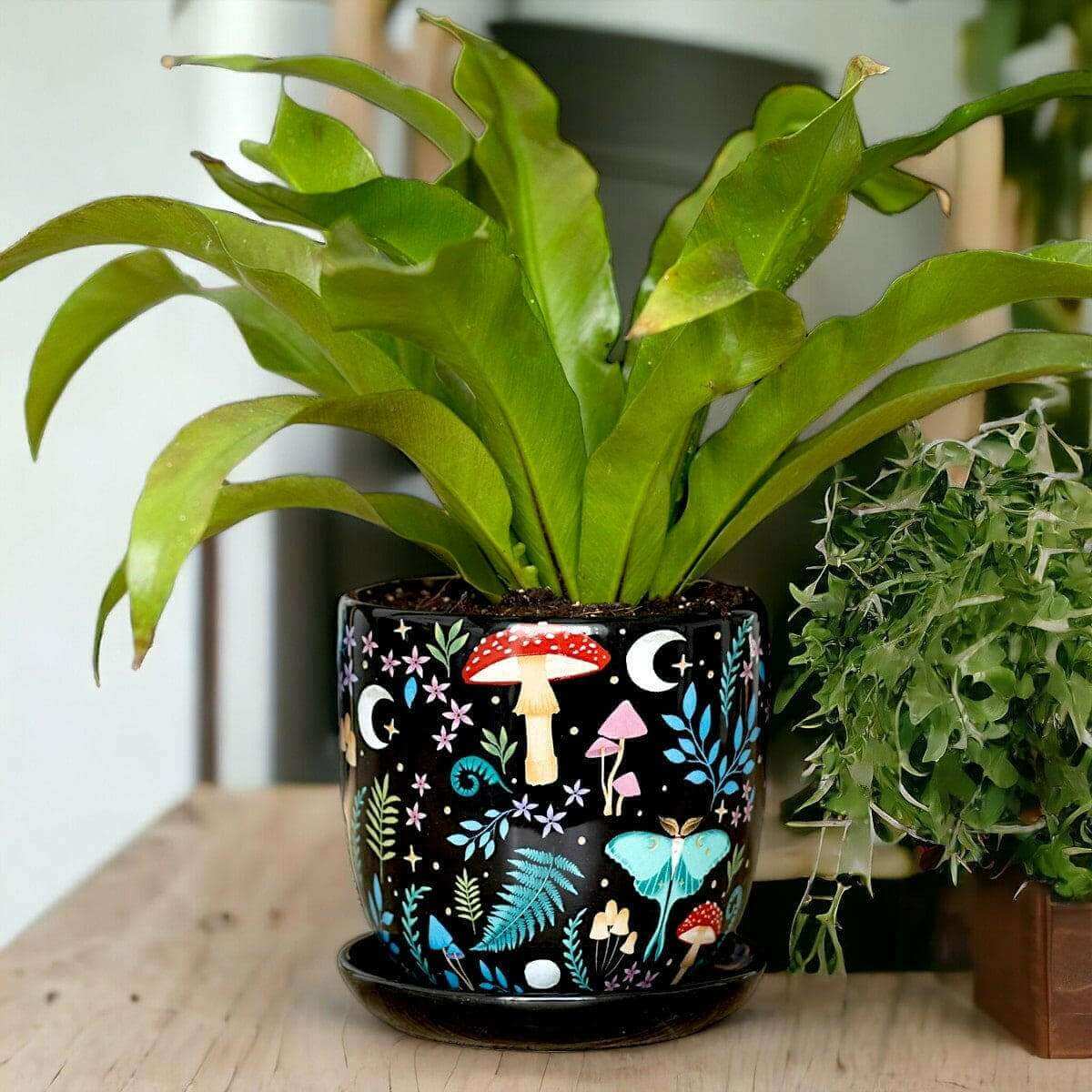 The Fashion Gift Shop: Dark Forest Print Ceramic Plant Pot with Saucer 11cm by Spirit of equinox, Pots and Planters