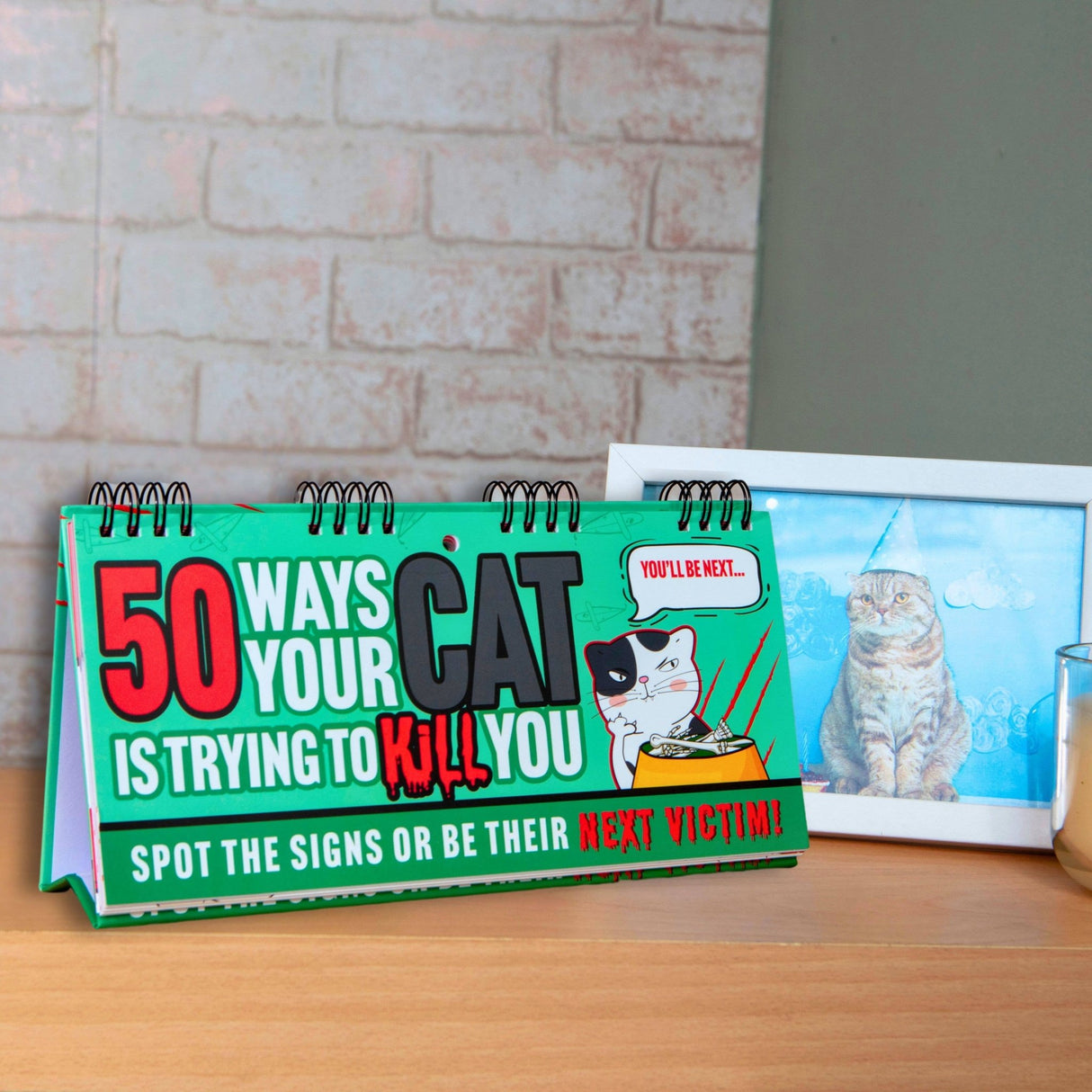 The Fashion Gift Shop: 50 Ways Your Cat Is Trying To Kill You Flipbook - Cat Gifts by Boxer Gifts, Flip Books