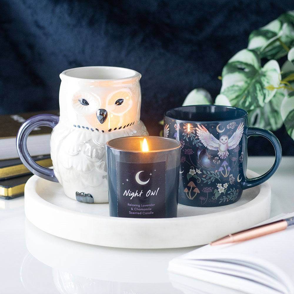 The Fashion Gift Shop: Flying Owl - Crescent Moon and Forest Plants All Over Print Ceramic Mug by Jones Home & Gifts, Mugs and Cups