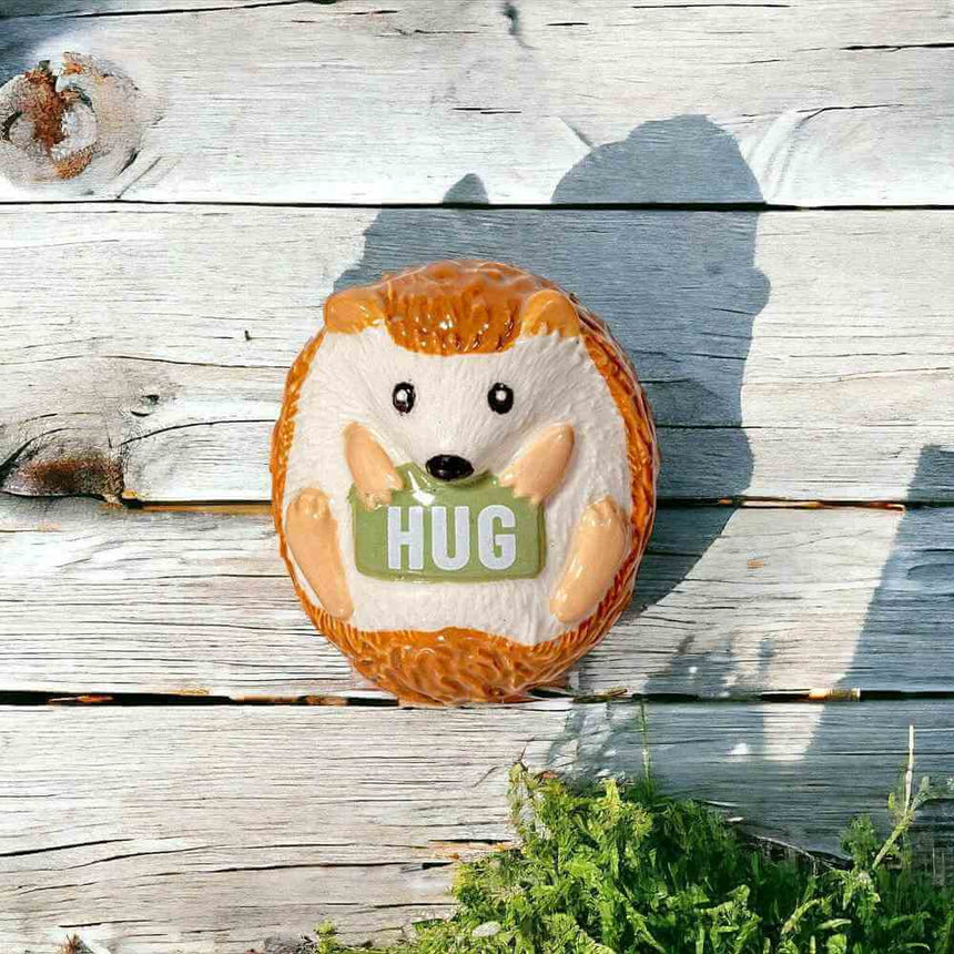 The Fashion Gift Shop: Hedgehog Token in Box, Stocking Filler, Secret Santa Gifts by Sass and Belle, Token Gifts