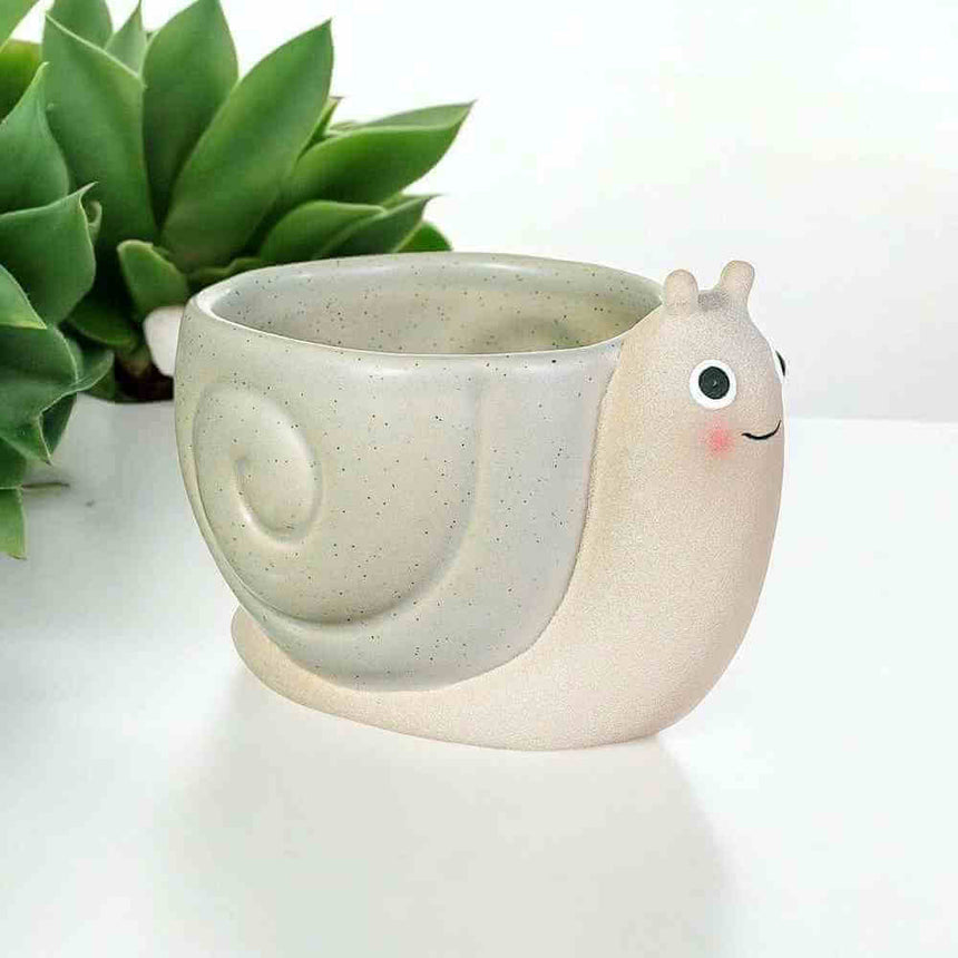 The Fashion Gift Shop: Mini Snail Planter, Small Cute Plant Pot by Sass and Belle, Pots and Planters