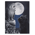 The Fashion Gift Shop: Lisa Parkers Purrfect Wisdom Owl and Black Cat Design Canvas Wall Print by Lisa Parker, Wall Art's