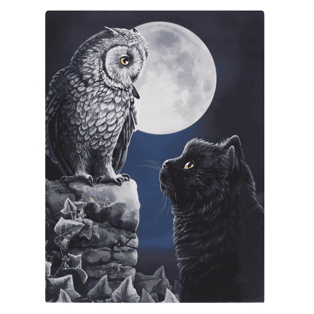 The Fashion Gift Shop: Lisa Parkers Purrfect Wisdom Owl and Black Cat Design Canvas Wall Print by Lisa Parker, Wall Art's