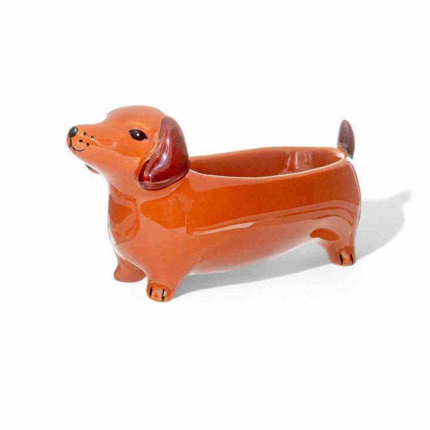 The Fashion Gift Shop: Sausage Dog Jewellery Trinket Dish by Sass and Bell by Sass and Belle, Token Gifts