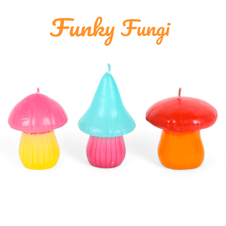 The Fashion Gift Shop: Set of 3 Mushroom Shaped Candles, Funky Fungi Candle Gift Box by Funky Fungi, Candles