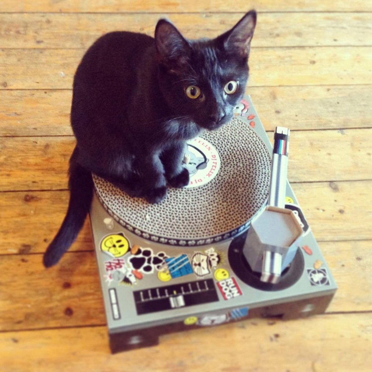 Cool for Cats Turntable Scratching Cat Toy by SuckUK