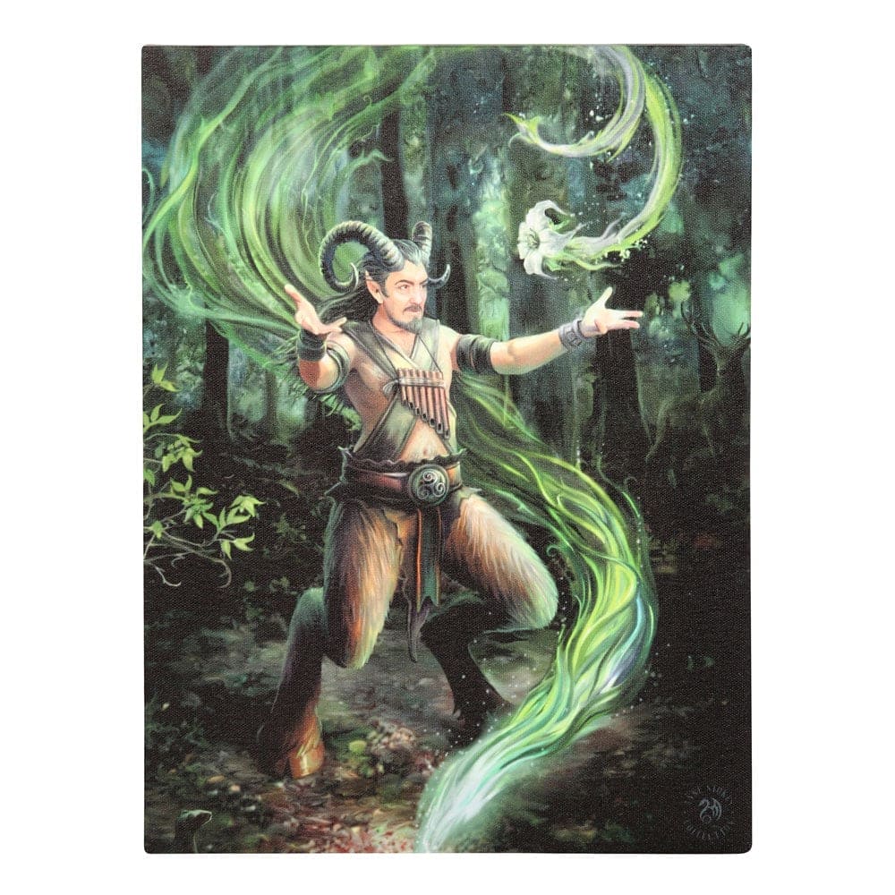 Anne Stokes Earth Element Wizard Canvas Plaque Wall Art - Wall Art's by Anne Stokes