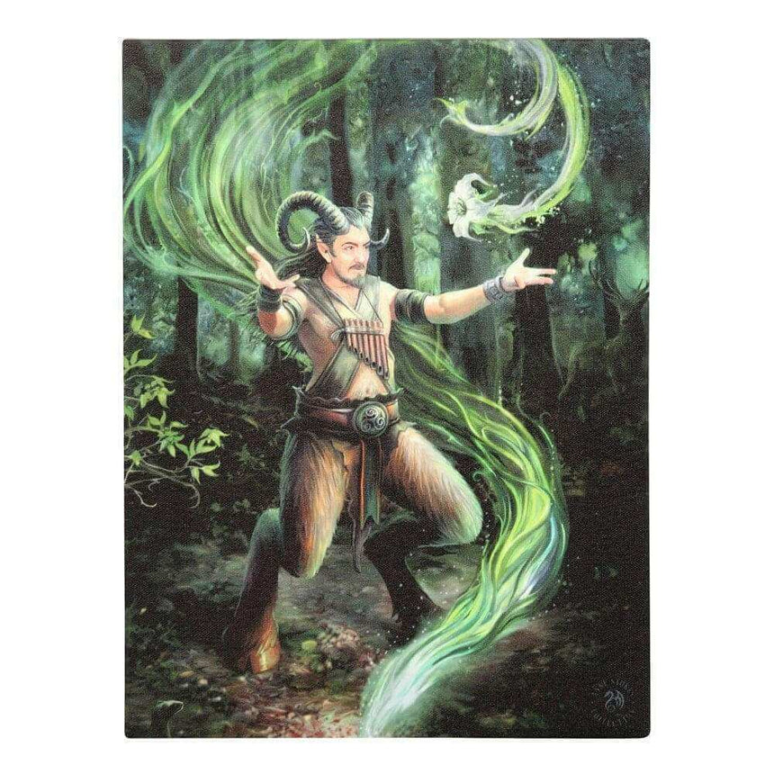 The Fashion Gift Shop: Anne Stokes Earth Element Wizard Canvas Plaque Wall Art by Anne Stokes, Wall Art's