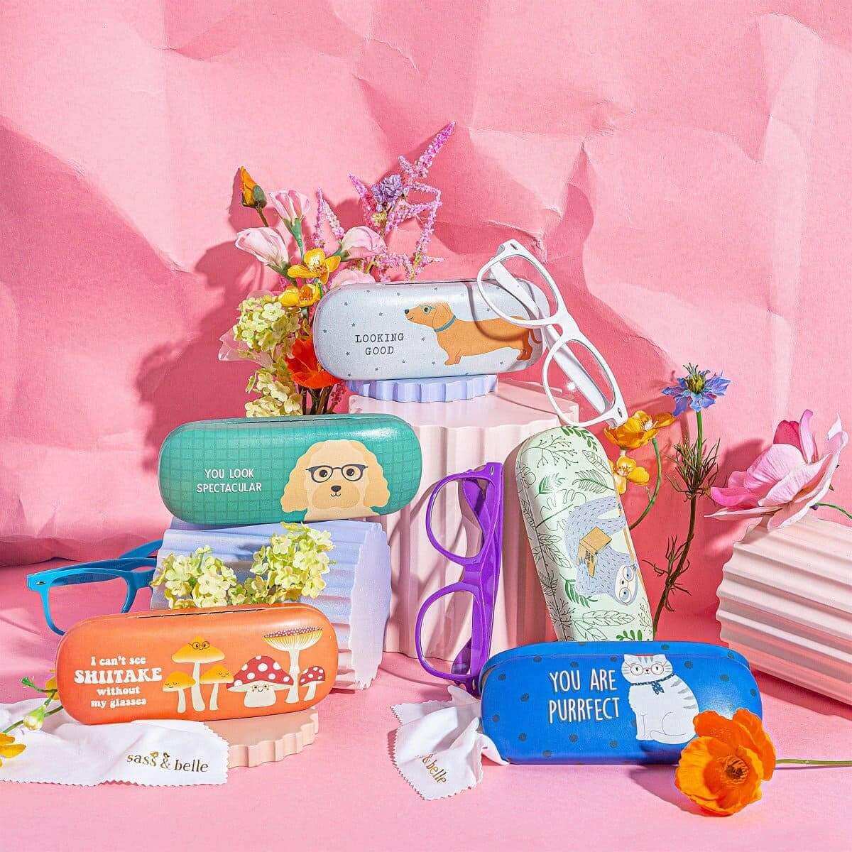 The Fashion Gift Shop: Dachshund Glasses Case by Sass and Belle, Eyewear Cases & Holders