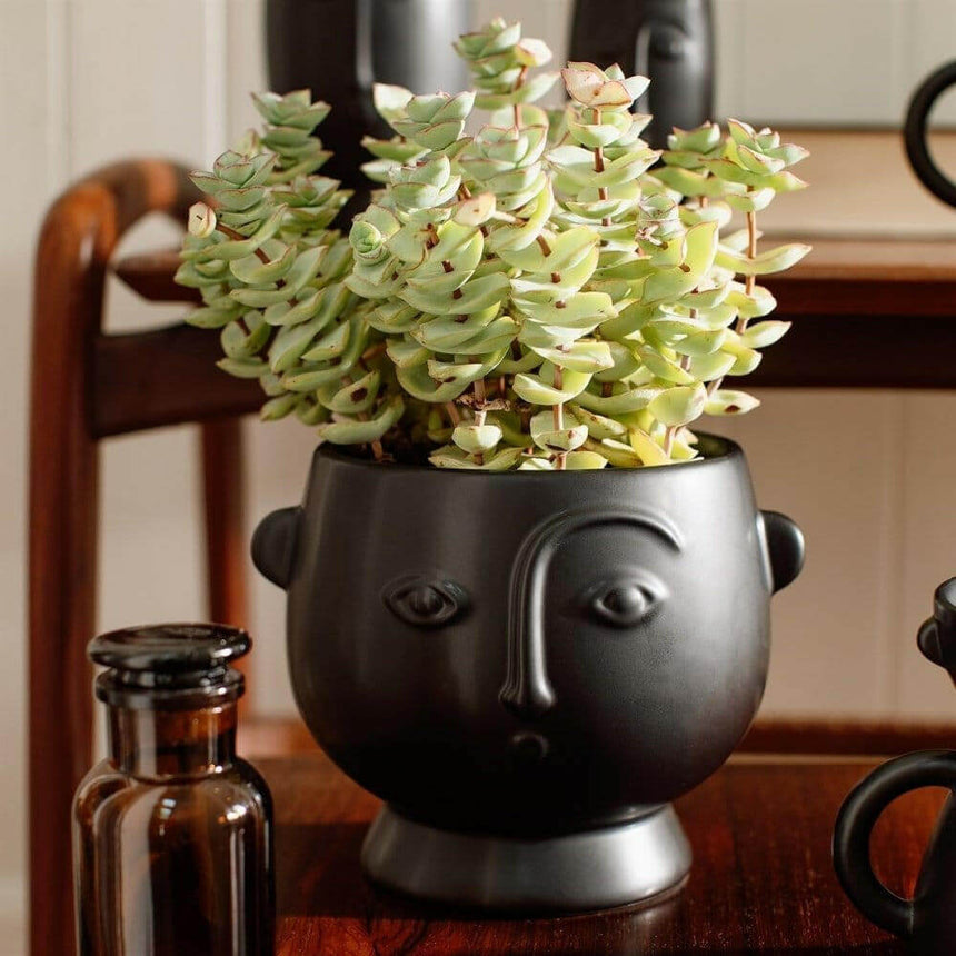 The Fashion Gift Shop: Face Hanging Planter Matte Pink and Matte Black by Sass and Belle, Pots and Planters
