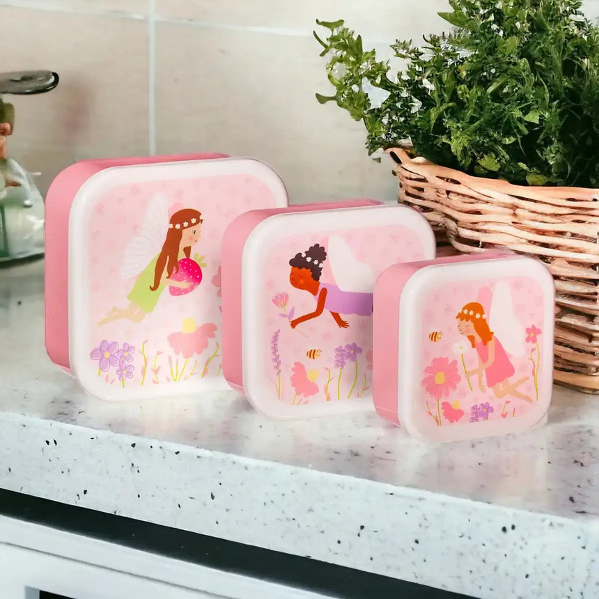 The Fashion Gift Shop: Fairy Lunch Boxes - Set of 3 by Sass and Belle, Lunch Boxes