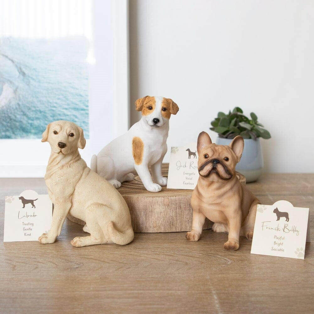 Three dog ornament figures on a shelf, Jack Russell Terrier in center