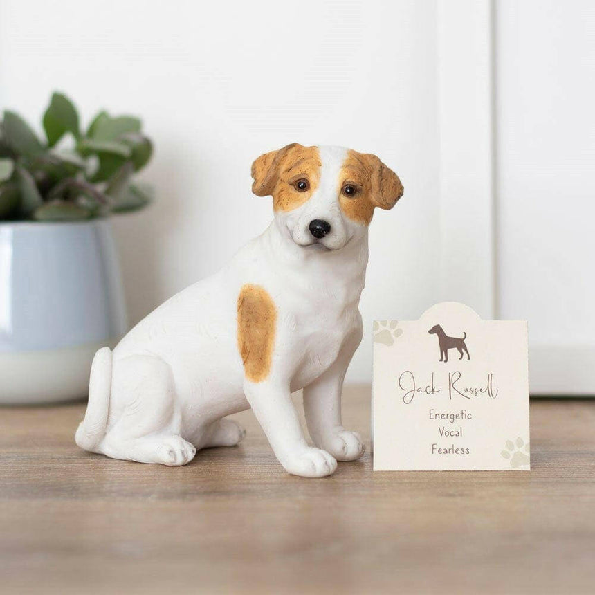 The Fashion Gift Shop: Jack Russell Terrier Dog Ornament with Sentiment Card & Gift Box by Jones Home & Gifts, Ornaments