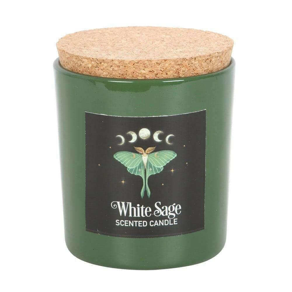 Luna Moth White Sage Candle with Box by The Dark Forest