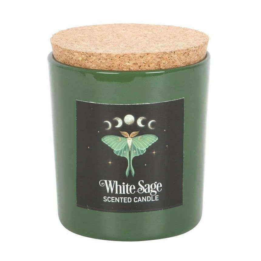 The Fashion Gift Shop: Luna Moth White Sage Candle with Box by The Dark Forest, Candles