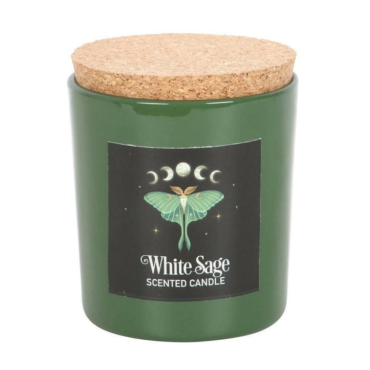 Luna Moth White Sage Candle with Box - The Fashion Gift Shop by The Dark Forest