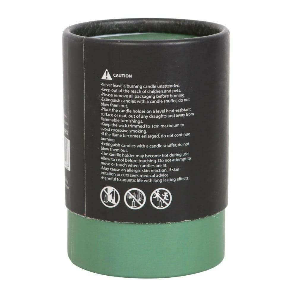 The Fashion Gift Shop: Luna Moth White Sage Candle with Box by The Dark Forest, Candles