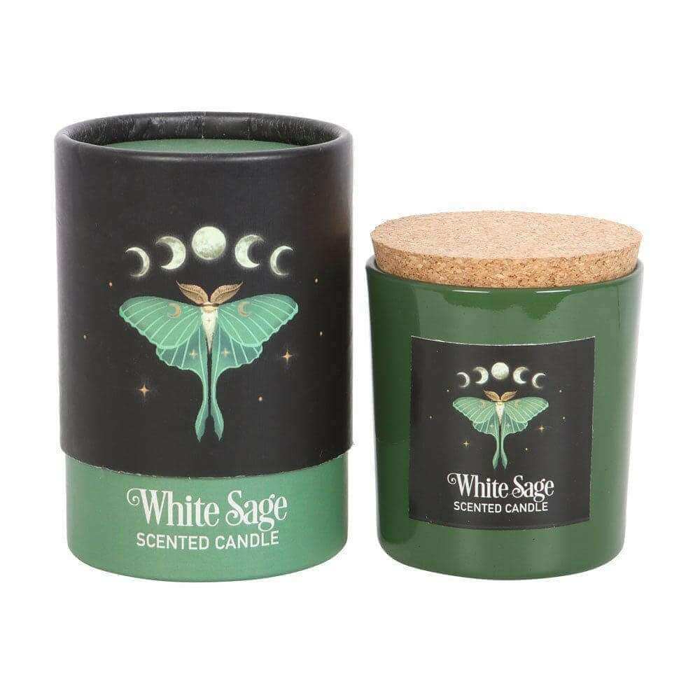 Luna Moth White Sage Candle with Box by The Dark Forest