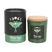 Luna Moth White Sage Candle with Box - The Fashion Gift Shop by The Dark Forest