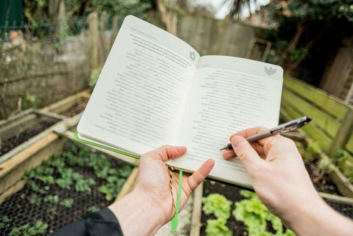 The Fashion Gift Shop: My Gardening Handbook, Gardeners Journal Over 300 Pages by Luckies, Gardeners Journal Handbook