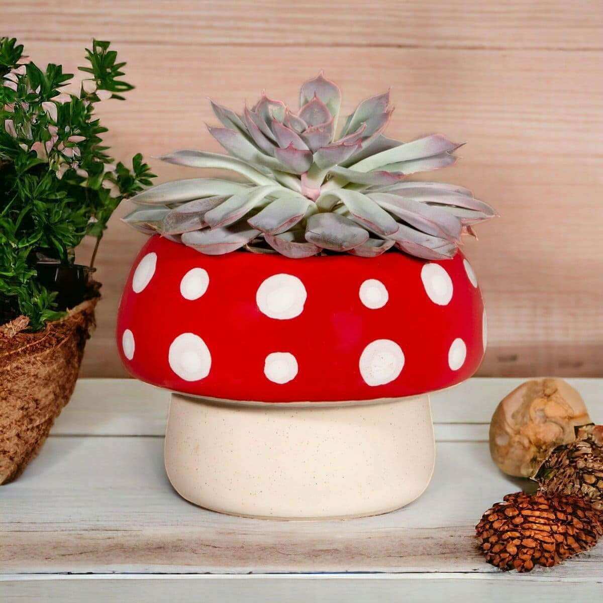 The Fashion Gift Shop: Red Mushroom Large Planter by Sass and Belle, Pots and Planters