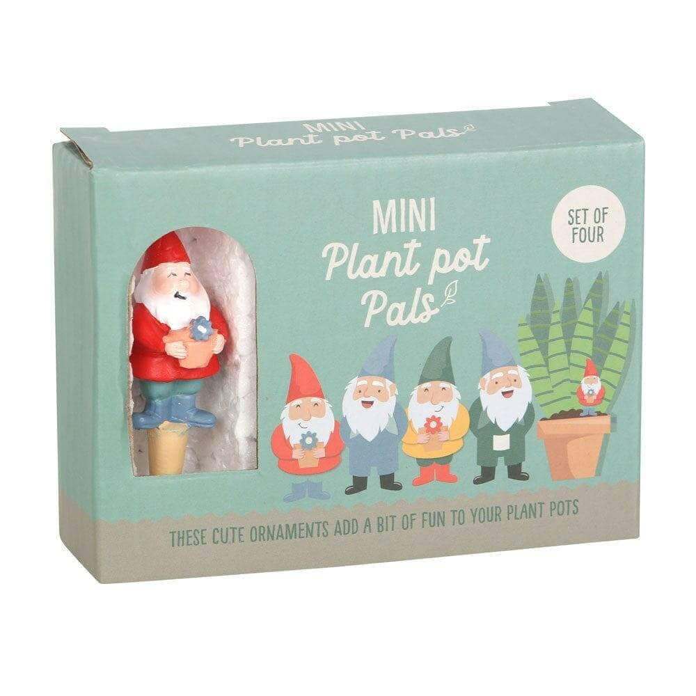 Set of 4 Mini Garden Gnome Plant Pot Pals, Fairy Garden, Planters by Jones Home & Gifts