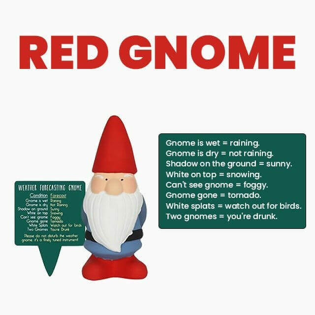 Red weather forecasting garden gnome with green weather forecast sign