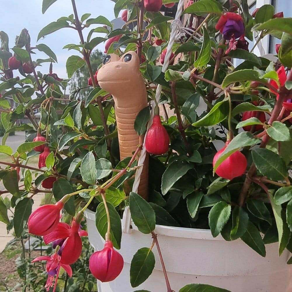 The Fashion Gift Shop: Willy the Garden Worm Water Sensor Gardeners Tool by Jones Home & Gifts, Gardening Accessories
