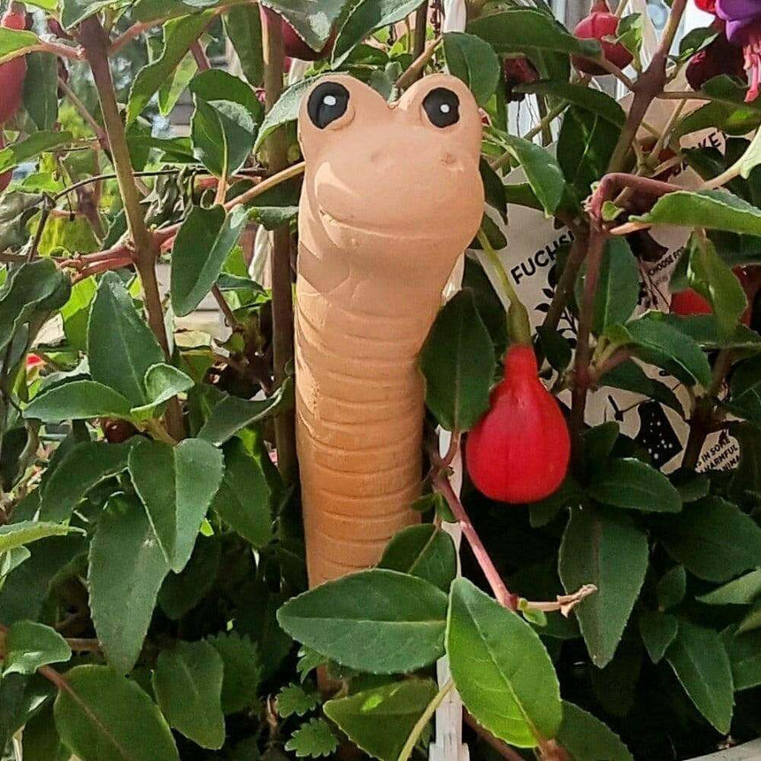 The Fashion Gift Shop: Willy the Garden Worm Water Sensor Gardeners Tool by Jones Home & Gifts, Gardening Accessories