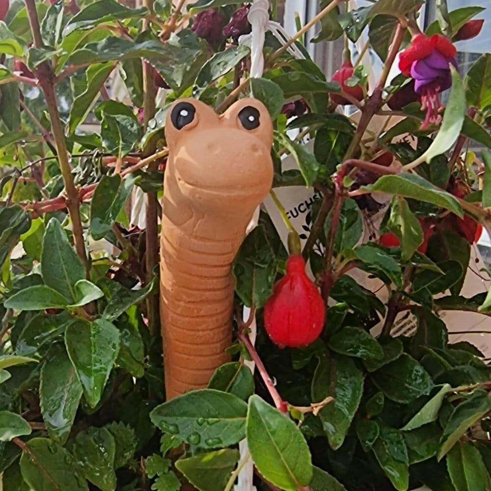 The Fashion Gift Shop: Willy the Garden Worm Water Sensor Gardeners Tool by Jones Home & Gifts, Gardening Accessories