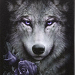 Wolf Roses Canvas Plaque by Spiral Direct - Wall Art's by Spiral Direct