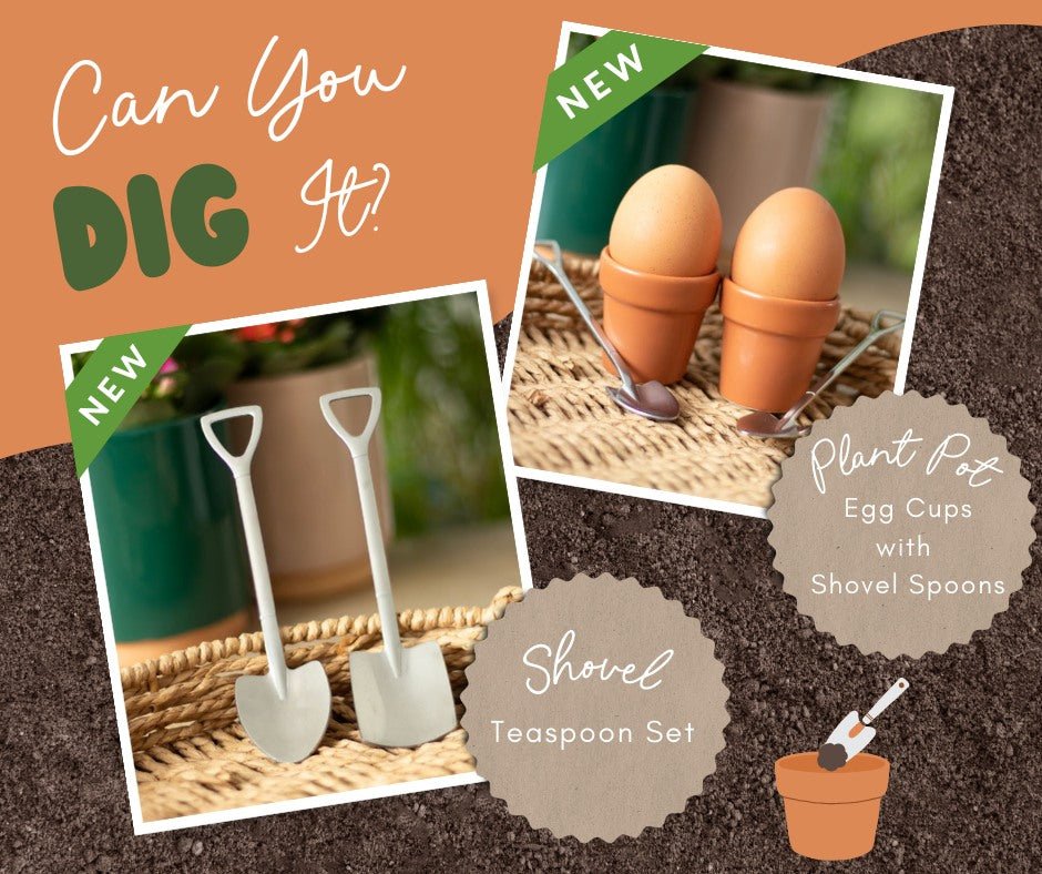 Egg Cups - The Fashion Gift Shop