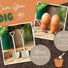 Egg Cups - The Fashion Gift Shop