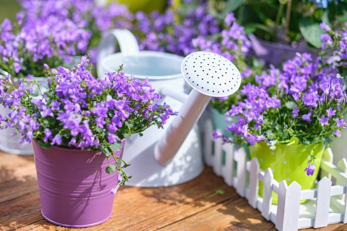 Garden Decor Gifts - The Fashion Gift Shop