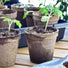 The Potting Shed - The Fashion Gift Shop