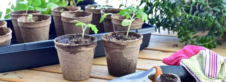 The Potting Shed - The Fashion Gift Shop