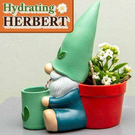 Self-watering gnome plant pot with green hat, blue body, red planter and white flowers.