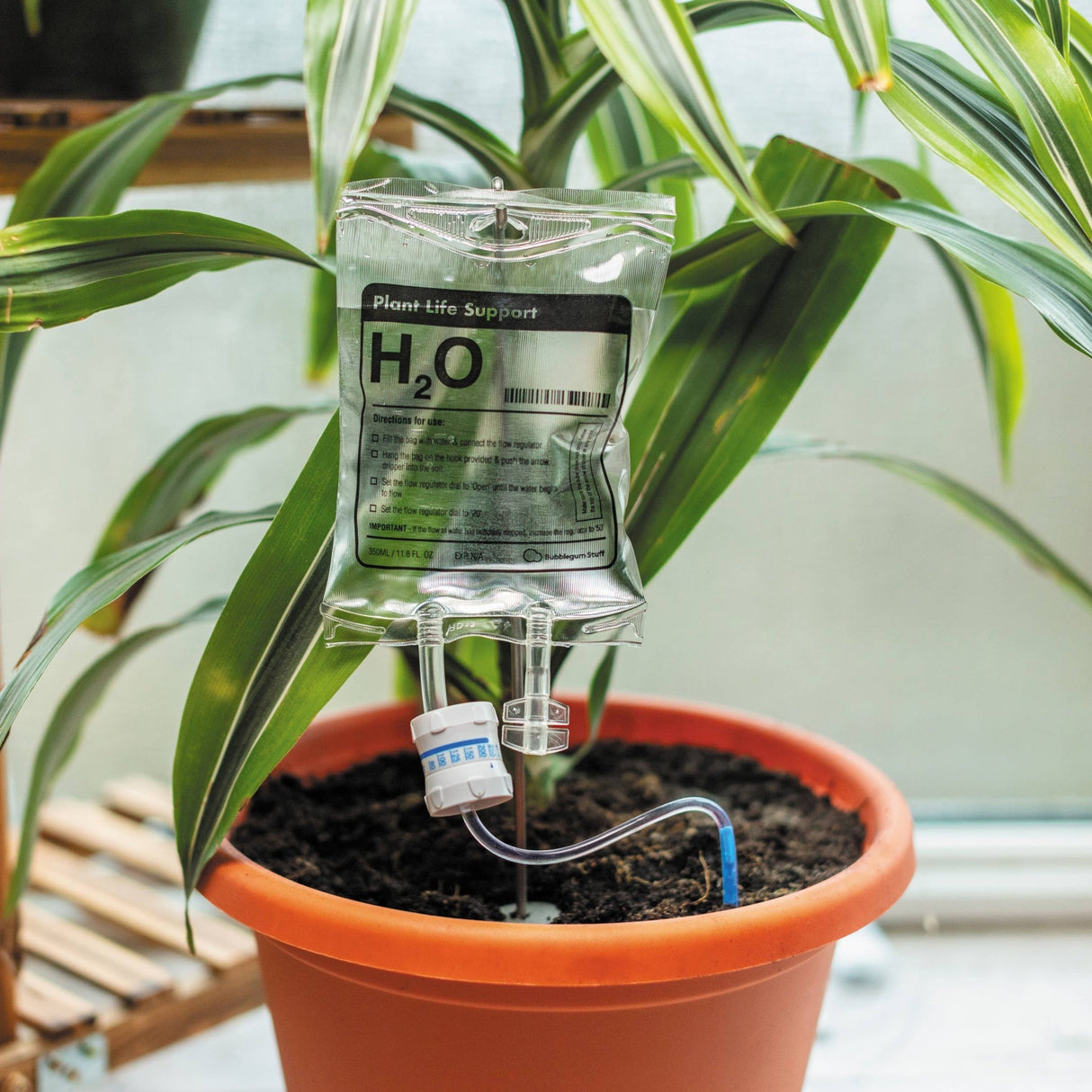 The Fashion Gift Shop: Plant Life Support | Plant Self - Water | Automatic waterer for plants by Bubblegum Stuff UK,