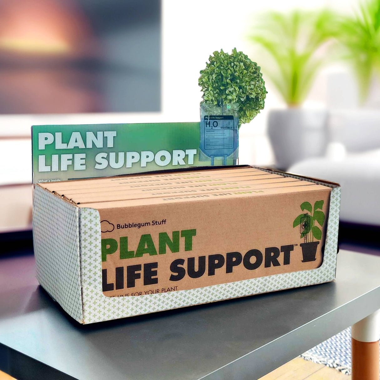 The Fashion Gift Shop: Plant Life Support | Plant Self - Water | Automatic waterer for plants by Bubblegum Stuff UK,