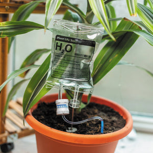 The Fashion Gift Shop: Plant Life Support | Plant Self - Water | Automatic waterer for plants by Bubblegum Stuff UK,
