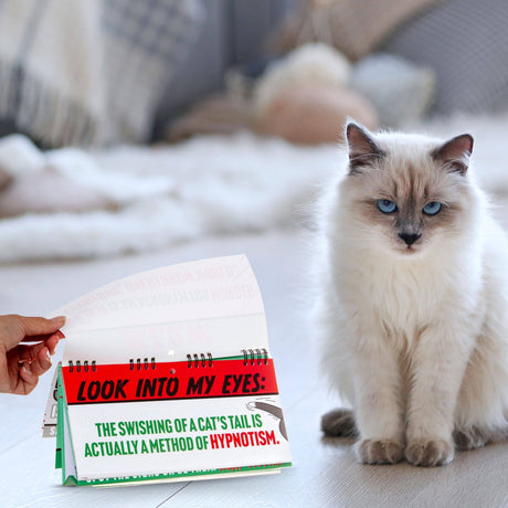 The Fashion Gift Shop: 50 Ways Your Cat Is Trying To Kill You Flipbook - Cat Gifts by Boxer Gifts, Flip Books