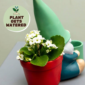 Self-watering gnome plant pot with red planter, white blossoms, green hat and blue body.