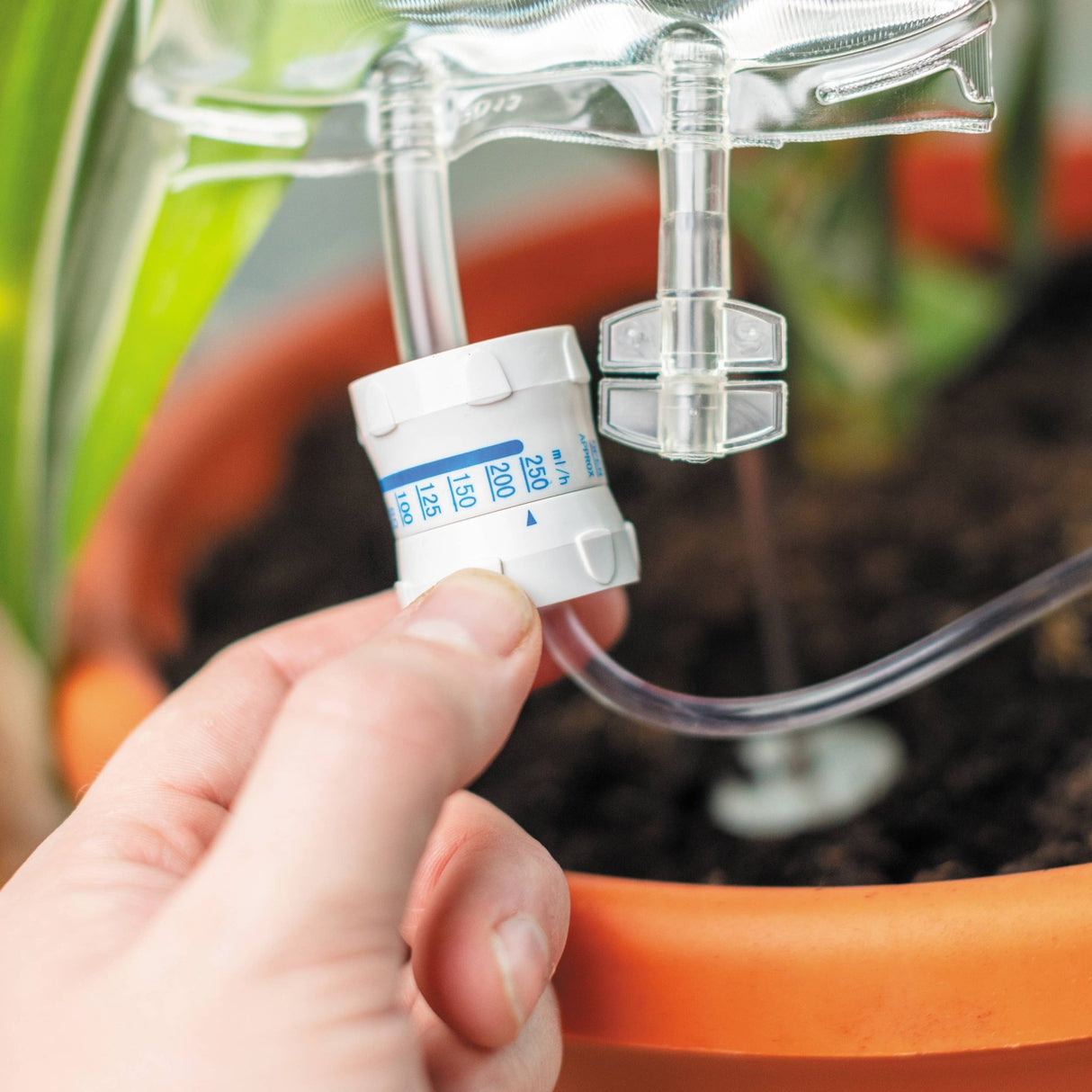 The Fashion Gift Shop: Plant Life Support | Plant Self - Water | Automatic waterer for plants by Bubblegum Stuff UK,