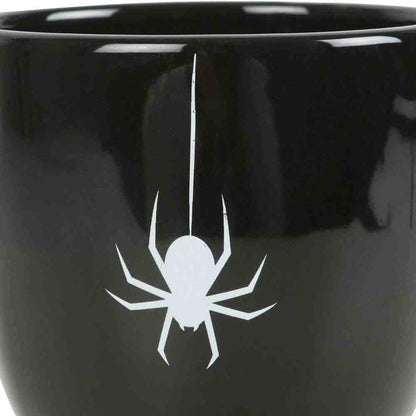 Close-up of white spider web and spider emblem on glossy black teacup