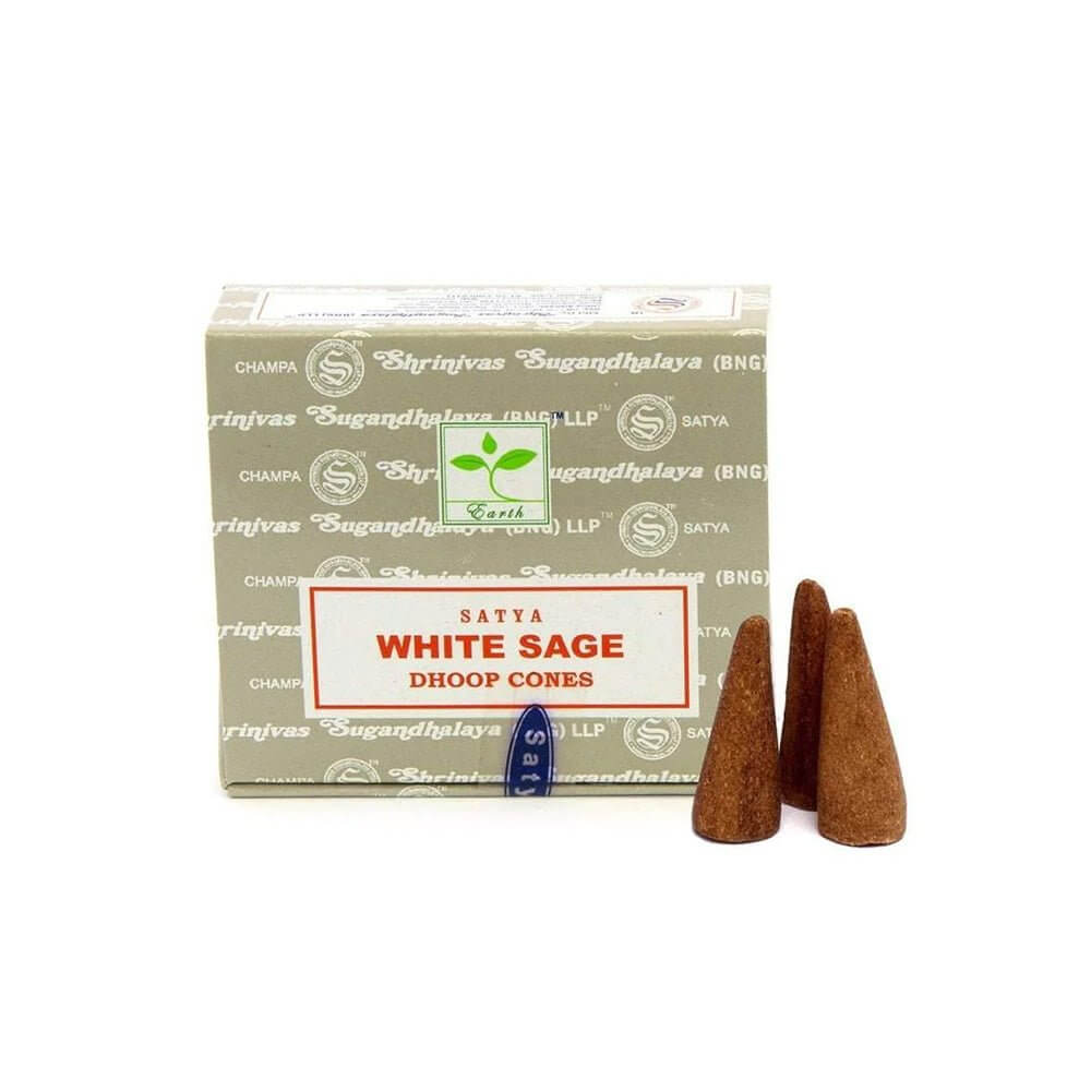 Incense cone box with two terracotta cones; White Sage Dhoop cones.