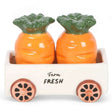 Carrot Salt and Pepper Shakers in Wagon