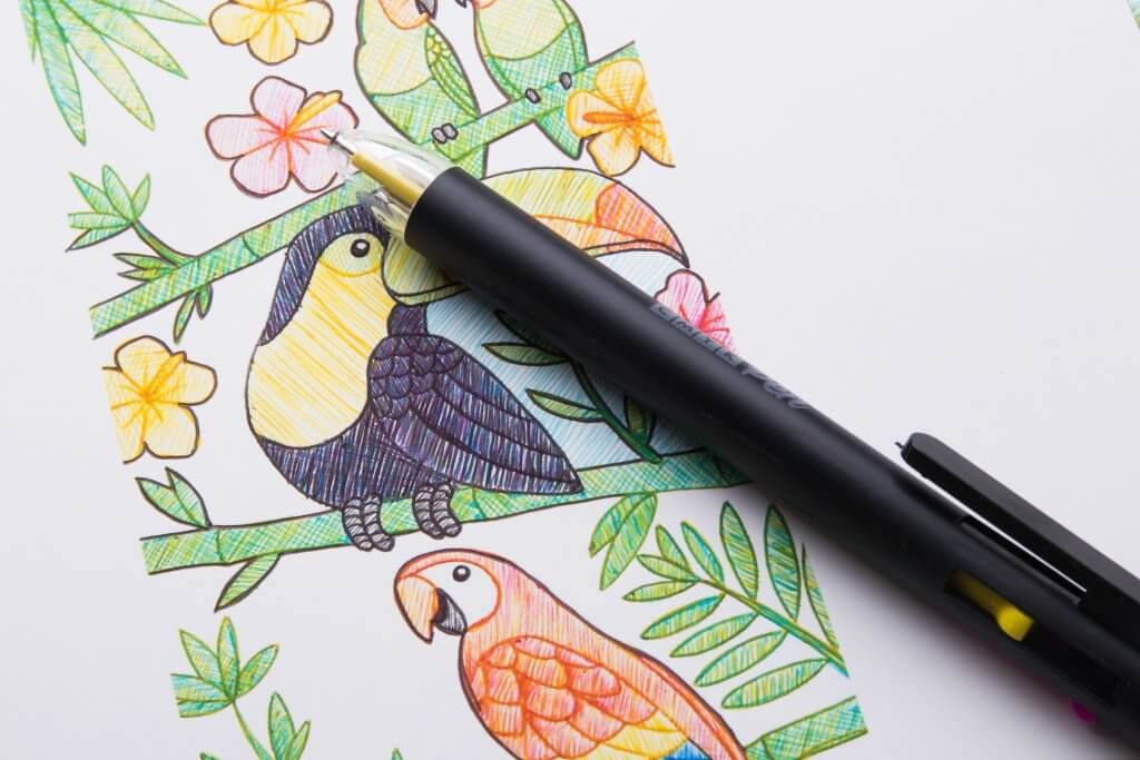 Black CMYK pen ballpoint over illustrated bird and plant drawing