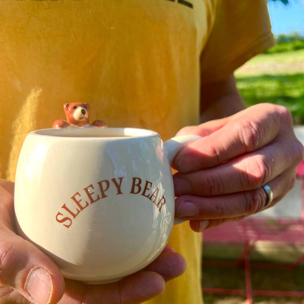 The Fashion Gift Shop: Cute Sleepy Bear Rounded Mug, Hanging 3D bear, Cosy, Cocoa Mugs by Jones Home & Gifts, Mugs and Cups